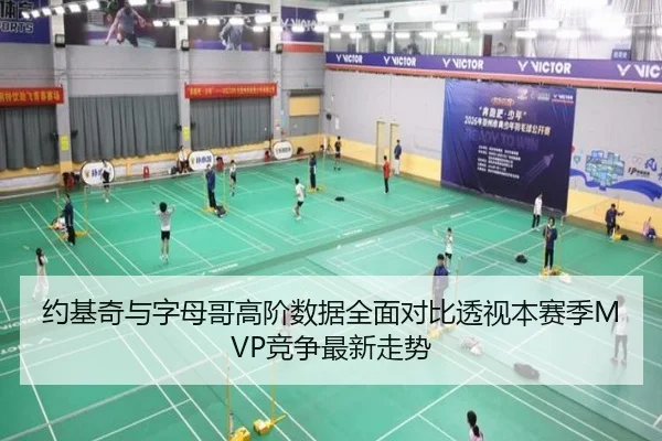 约基奇与字母哥高阶数据全面对比透视本赛季MVP竞争最新走势